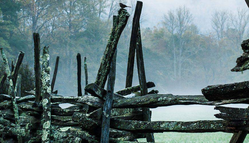 🏙️ City Spotlight: Philadelphia – Where History Meets Modern Vibes