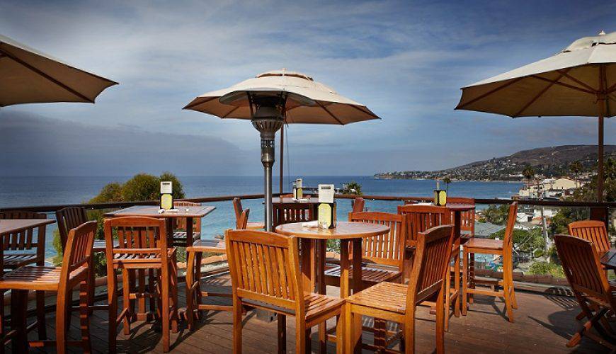 🌷 Tiptoe Through the Tulips of Washington: A Springtime Wonderland Awaits